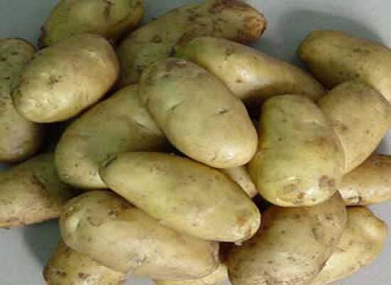 糧油類配送：深圳土豆批發(fā)