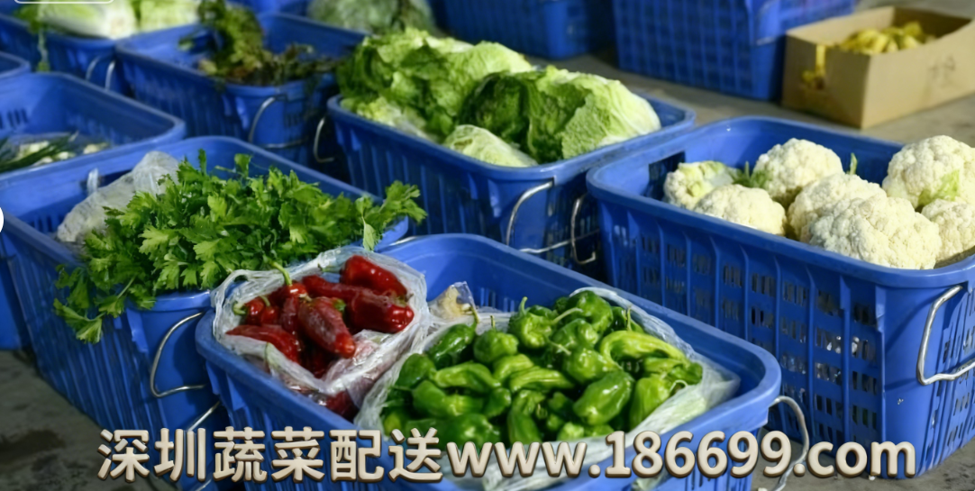 深圳食堂蔬菜配送為何選擇佳惠鮮蔬菜配送中心?
