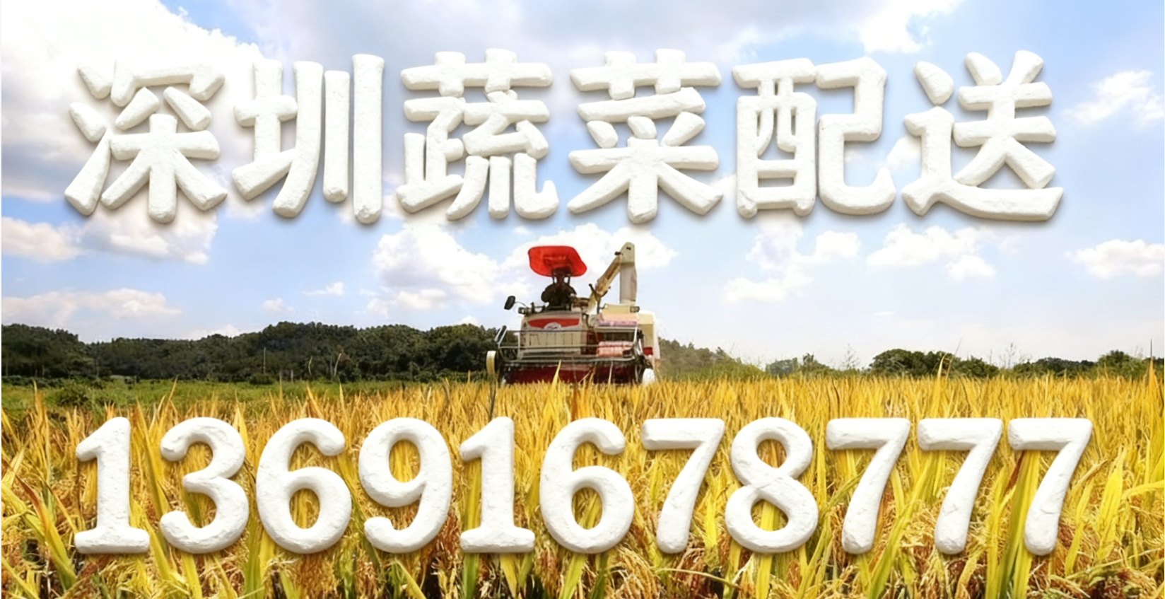 東莞蔬菜配送中心?解讀:“十五五” 怎么讓大家吃得更穩、更優？