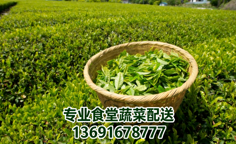長期喝綠茶到底好不好？佳惠鮮送菜公司來為您解答！