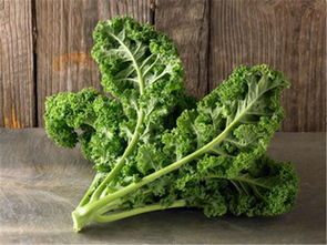 羽衣甘藍的核心營養與食用指南,下面讓深圳蔬菜公司來告訴您